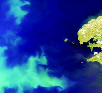 Coccolithophore blooms are identifiable via space-based remote sensing because their external plates of calcium carbonate, called coccoliths, backscatter light from the water column to create a bright optical effect. This bloom (the cloudy swirl in lower lefthand corner) occurred in summer 2001 in the Celtic Sea off England's southwestern coast.