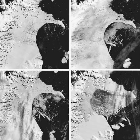 Four Moderate Resolution Imaging Spectroradiometer (MODIS) satellite images show the progressive breaking apart of a 3,275-square-kilometer (1,260-square-mile) northern section of the Larsen B Ice Shelf in Antarctica. The top left image was taken January 31, 2002, and the bottom right image was taken March 5, 2002. The snowy ice-shelf surface is clearly visible to the left of each frame, with the dark ocean waters to the right. The mountains of the Antarctic Peninsula curve along the western (left) side of each frame. Meltwater ponds form patches and stripes on the surface of the shelf. A few small icebergs are floating in the dark ocean surface in pre-breakup images (top); the icebergs in the far lower right of the frames had calved 2 years earlier from an ice shelf farther south. After March 2002, long narrow icebergs and fragments too small to be resolved by the satellite were nearly all that remained of the Larsen B Ice Shelf.