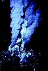 Black smokers form when hot vent water mixes with cold sea water, causing the precipitation of tiny particles of manganese-rich and iron-rich sulfide minerals. White smokers form from slightly cooler vent water and the precipitation of minerals rich in barium and calcium.