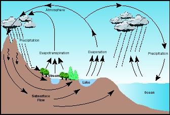 Water that falls to Earth as precipitation follows many paths on its way back to the atmosphere. Precipitated water may be intercepted and taken up by plants; it may infiltrate the soil; or it may flow over the land surface or through the subsurface to reach streams, lakes, wetlands, and ultimately the ocean. Some of the discharged water is evaporated from surfaces and transpired by plants to reenter the atmosphere, and the hydrologic cycle continues.
