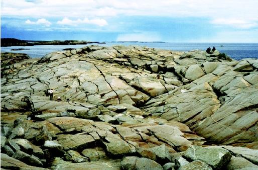 Vast glacial ice sheets once covered large areas of the northern continents, ultimately shaping the land into its present-day forms. The smooth granite of Peggy's Cove, Nova Scotia bears witness to the scouring, smoothing, and polishing action of ancient glaciers.