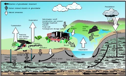 Land use and land cover largely determine the type and amount of contaminants entering streams, lakes, and underground pathways, including aquifers. Some contaminants occur and move naturally (white arrows), whereas others are produced by human activities (hatched arrows), and their movement often is accelerated as a result of rainfall that accentuates runoff and infiltration.