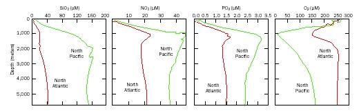Vertical profiles illustrate the changing concentration, with depth, of common constituents in the ocean: silicon dioxide (SiO2), nitrogen as nitrate (NO3−), phosphorus as phosphate (PO43−), and oxygen (O2).
