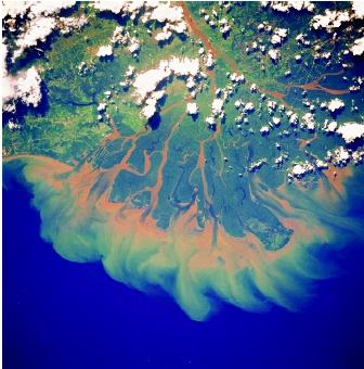 This view from the space shuttle Columbia shows silt running into the sea from the Mahakam River in Borneo, Indonesia, and the delta that has formed as a result. The delta is the roughly triangular-shaped landmass extending from where the river branches into many distributaries, out to the coastal area. The feathery areas seaward of the delta are very fine-grained sediments that are being transported away by coastal ocean currents.