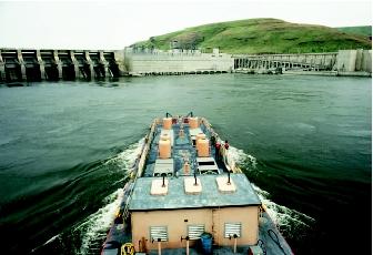 To help reduce mortality of juvenile salmon as they enounter dams and hydroelectric turbines on their downstream migration, fisheries managers and biologists transport critical populations in barges and trucks. Juvenile fish transportation programs represent only a small component of the larger strategy to assist the recovery of salmon populations.
